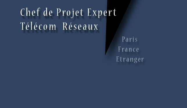Expert t&eacute;l&eacute;com r&eacute;seaux ind&eacute;pendant
